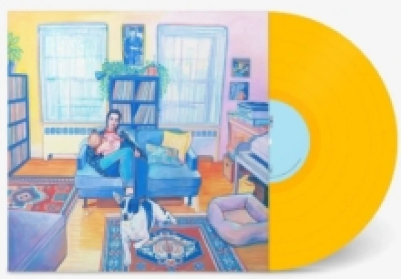 Image of Laura Stevenson Vinyl