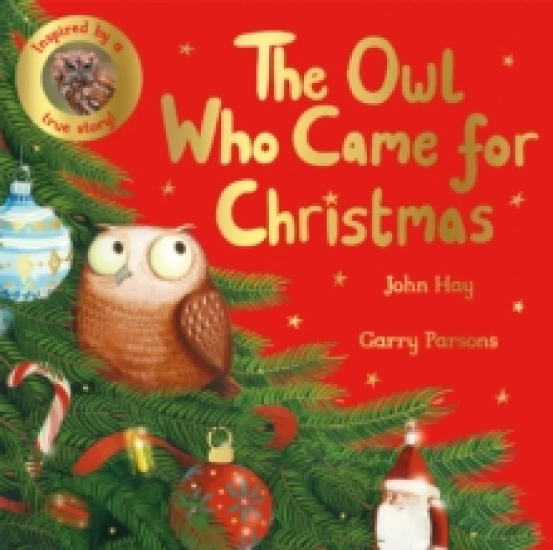 Image of John Hay The Owl Who Came for Christmas Book Multi unisex