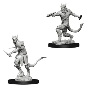 Image of Dungeons & Dragons Nolzur's Marvelous Unpainted Miniatures (W5) Tiefling Male Rogue