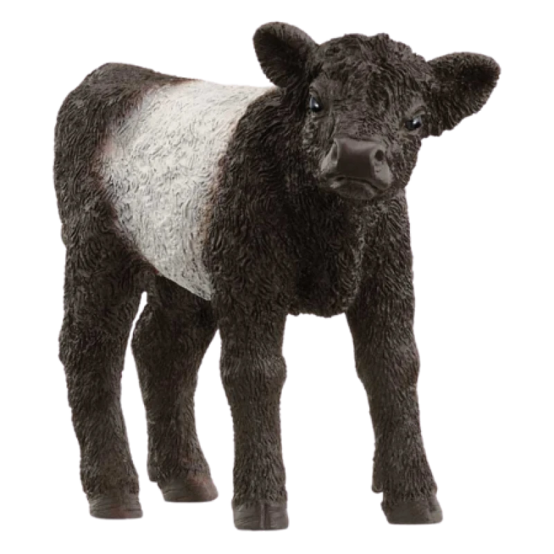 Image of Schleich Galloway Calf Multi unisex