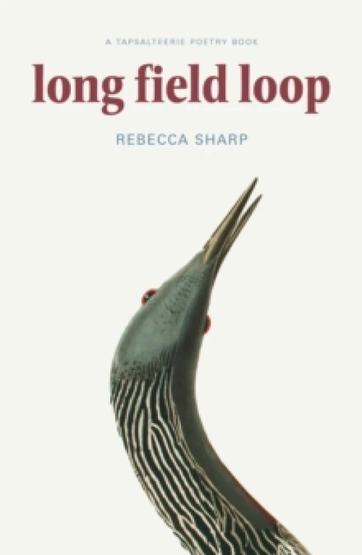 Image of Long Field Loop Paperback / softback