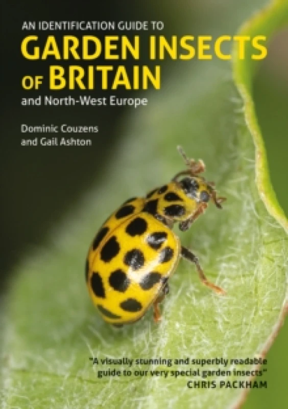 Image of An Identification Guide to Garden Insects of Britain and North-West Europe Paperback / softback