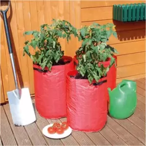 Image of St Helens Tomato Grow Bags, Pack Of 3