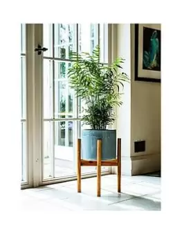 Image of Ivyline Anzio Warm Grey Planter With Wooden Stand