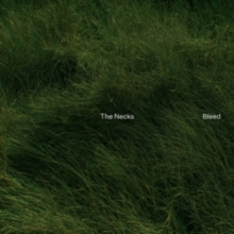 Image of The Necks - Bleed [CD / Album] Music CDs - Music CD