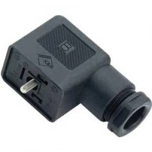 Image of Binder 43 1800 000 03 Black