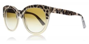 Image of Dolce & Gabbana DG4259 Sunglasses Top Mud / Animailer 2967T5 56mm