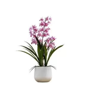 Image of Crossland Grove Potted Cymbidium Orchid (real Touch) Pink H610Mm
