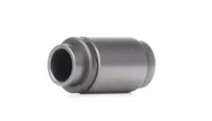 Image of INA Tappet MERCEDES-BENZ,PUCH 420 0003 10 1030500080,A1030500080 Valve Tappet,Engine Tappet,Cam Buckets,Hydraulic Lifter,Rocker/ Tappet