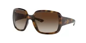 Image of Ray-Ban Sunglasses RB4347 Powderhorn 710/13
