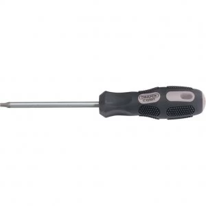 Image of Draper Expert Security Torx Screwdriver T25 100mm