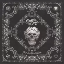 Image of Bad Blood Rising by Santa Cruz CD Album