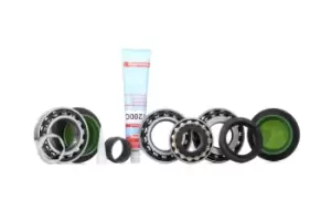 Image of LuK Repair Kit, differential BMW 462 0147 10 7518128,7530209,7530210 753021001,7531725,7625971,7625972