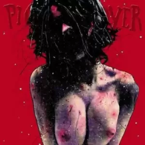 Image of Pig Destroyer - Terrifyer CD Album - Used