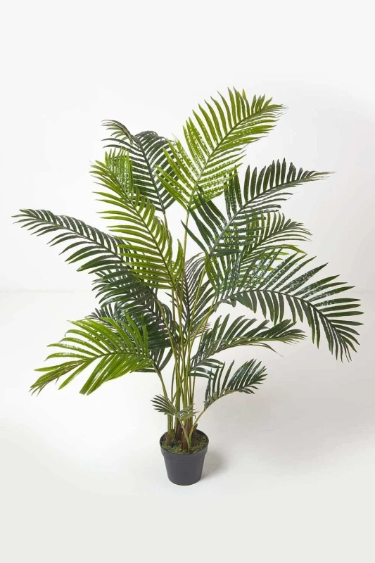Image of Homescapes Areca Palm Tree in Pot, 160cm Tall Green