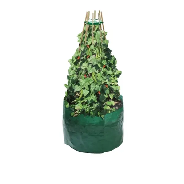 Image of Garland Bean & Pea Bag with Free Bean & Pea Ring