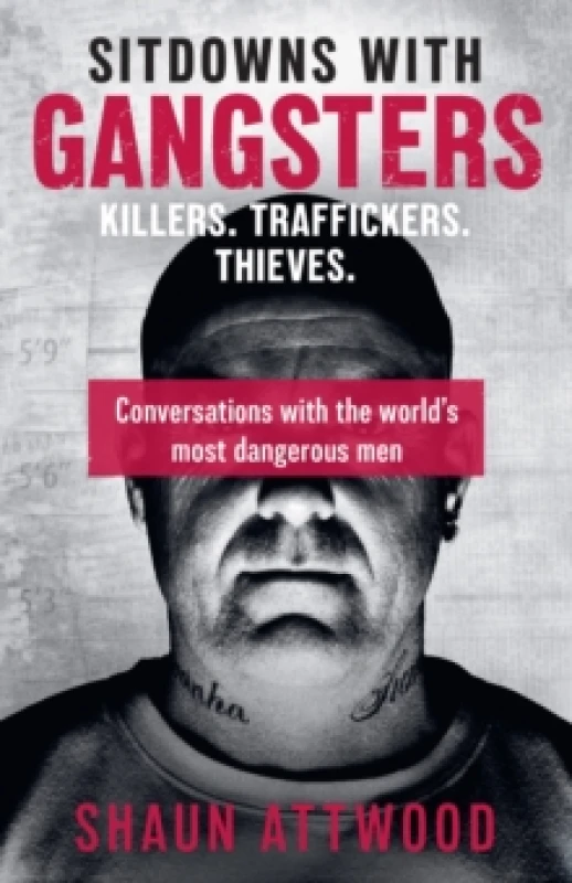 Image of Sitdowns with Gangsters : My real and terrifying conversations with the worlds most dangerous men Paperback / softback