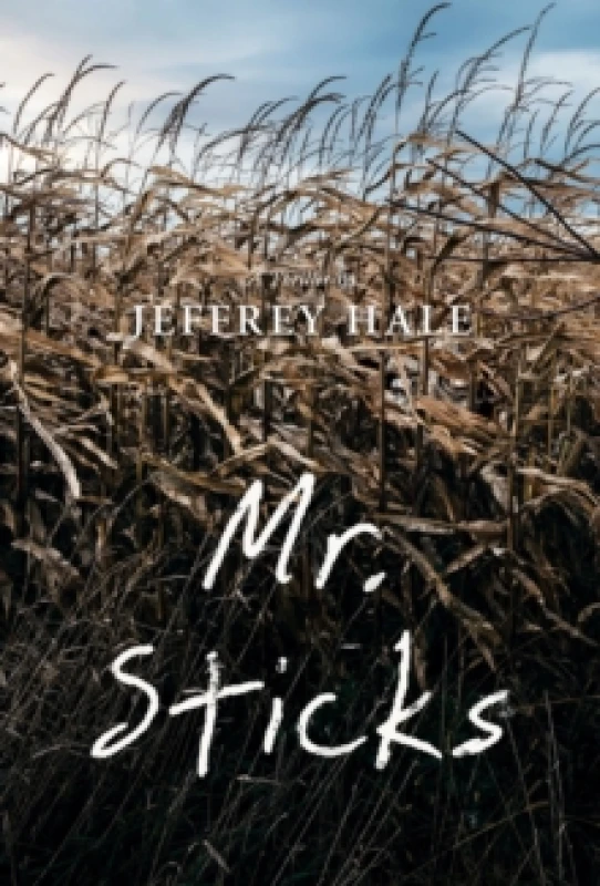 Image of Mr. Sticks Paperback / softback
