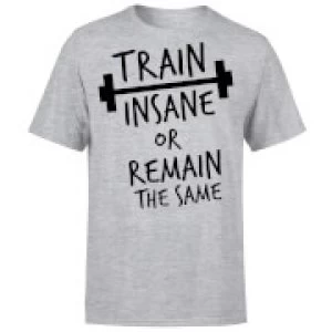 Image of Train Insane or Remain the Same T-Shirt - Grey - 3XL