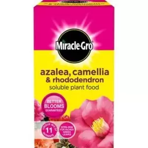 Image of Miracle-Gro Rhododendron Plant Feed Granules 1Kg