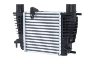 Image of RIDEX Intercooler 468I0069 Turbo Intercooler,Intercooler, charger RENAULT,NISSAN,Clio III Schragheck (BR0/1, CR0/1),MODUS / GRAND MODUS (F/JP0_)