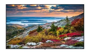 Image of Panasonic 43" TH-43CQE1W 4K Ultra HD LED TV