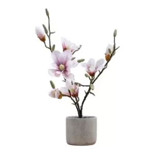 Image of Gallery Interiors Raskop Potted Magnolia Light Pink