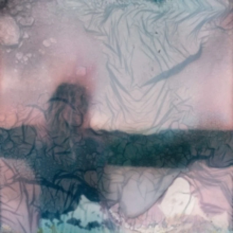 Image of SkamHan Vinyl