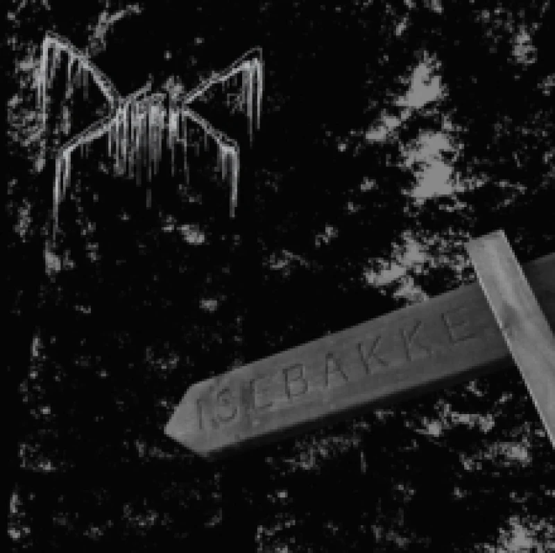 Image of Isebakke Vinyl