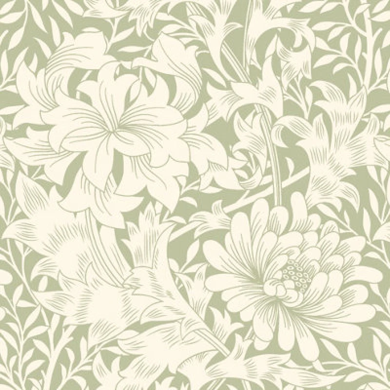 Image of Hoopla Walls Chrysanthemum Sage Green Smooth Matt Wallpaper