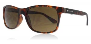 Image of Ben Sherman Alec Sunglasses Tortoise TORT 60mm