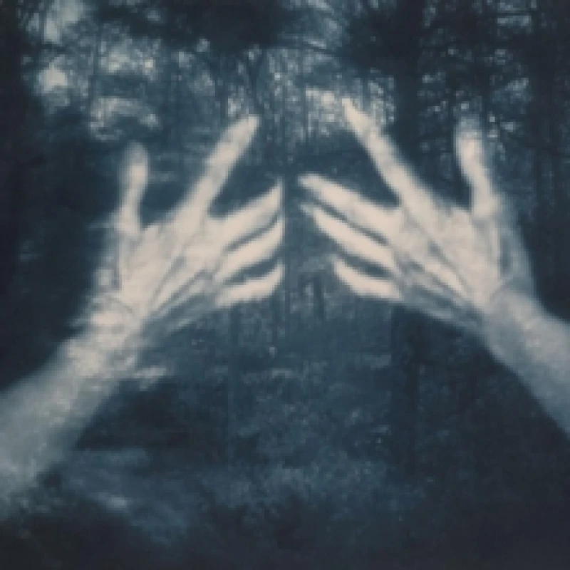 Image of All the Birds and a Telephone Ringing CD / Album Digipak