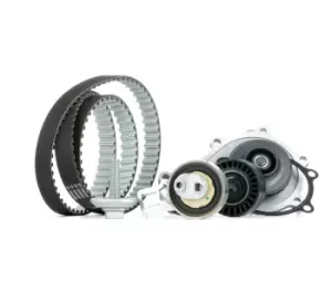 Image of INA Water Pump + Timing Belt Kit 530 0698 30 OPEL,FORD,PEUGEOT,GRANDLAND X (A18),Crossland X (P17),Combo E Kasten / Kombi (X19)
