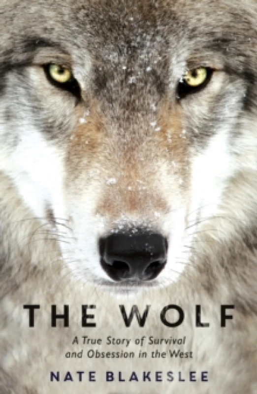 Image of The Wolf : A True Story of Survival and Obsession in the West Paperback / softback