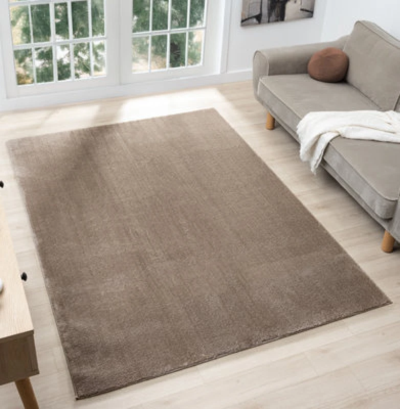 Image of Comfy Washable Low Pile Living Room Area Rug - Anti Slip Felt Backing Beige 120Cm X 160Cm