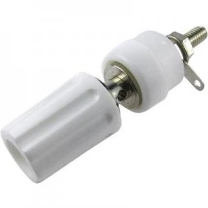 Image of Pole terminal White 15 A Cliff TP1