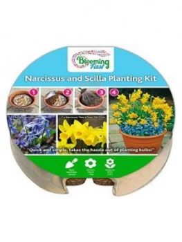 Image of Plant O Mat Tray #6 Narcissus/Scilla 19 Bulbs