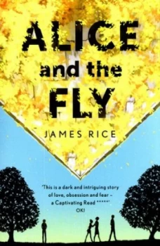 Image of Alice and the Fly by James Rice Paperback