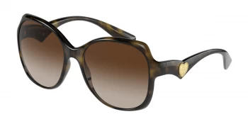 Image of Dolce & Gabbana Sunglasses DG6154 502/13