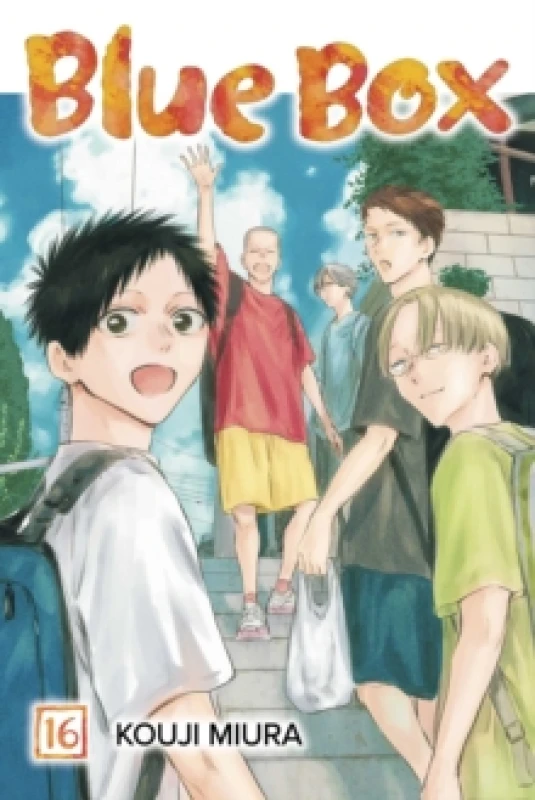 Image of Blue Box, Vol. 16 Paperback / softback