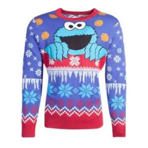 Image of Sesame Street Knitted Christmas Sweater Cookie Monster Size S