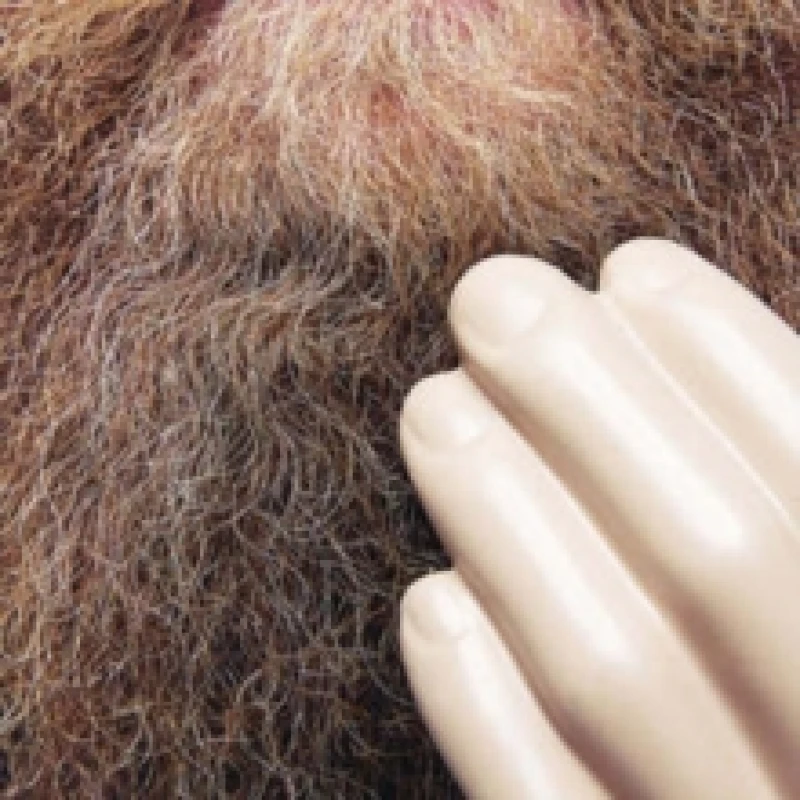 Image of Touch and Flee Vinyl