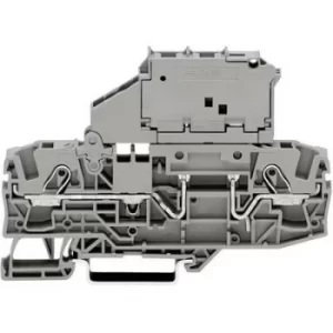 Image of WAGO 2006-1621 Fuse terminal 7.50 mm Pull spring Configuration: L Grey