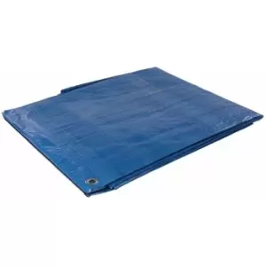 Image of Silverline - Tarpaulin - Cut 2.4 x 3m / Actual 2.25 x 2.9m