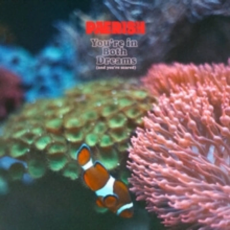 Image of You're in both dreams (and you're scared) Vinyl