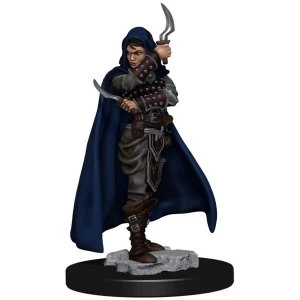 Image of Pathfinder Battles - Female Human Rogue Pre-painted Figure