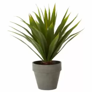 Image of Interiors by PH Faux Agave in Cement Pot, none