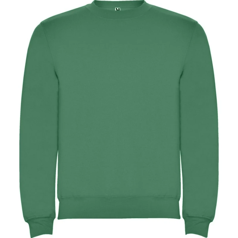 Image of Roly Clasica boys's Children's sweatshirt in Green