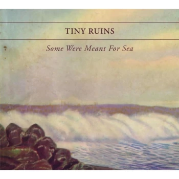 Image of Tiny Ruins - Some Were Meant For Sea Vinyl