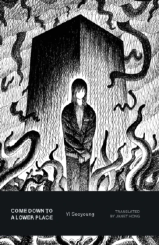 Image of Come Down to a Lower Place Paperback / softback